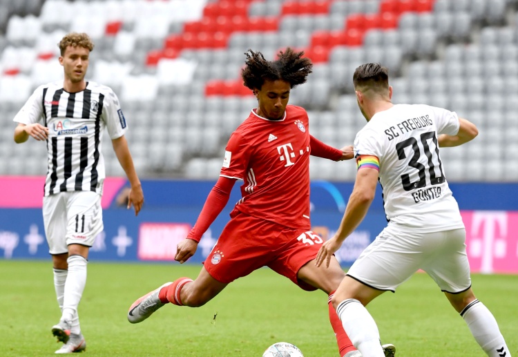 Joshua Zirkzee manages to score in Bayern Munich's last match against Wolfsburg in Bundesliga