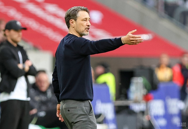 Dortmund thi đấu vòng 33 Bundesliga 2025/26 chạm trán Frankfurt