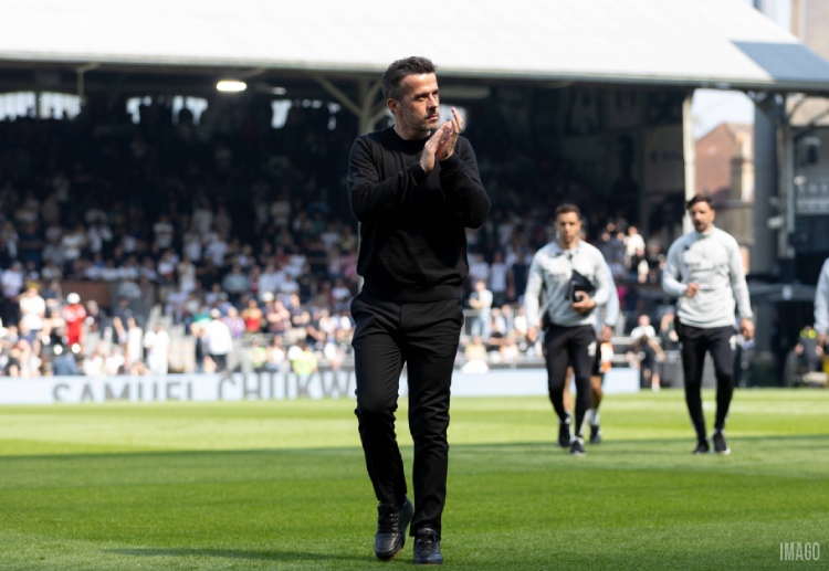 Fulham look to finish the Premier League season on a high note with a win against Newcastle United